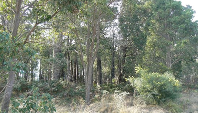 Picture of Lot 200 South Western Hwy, DONNYBROOK WA 6239