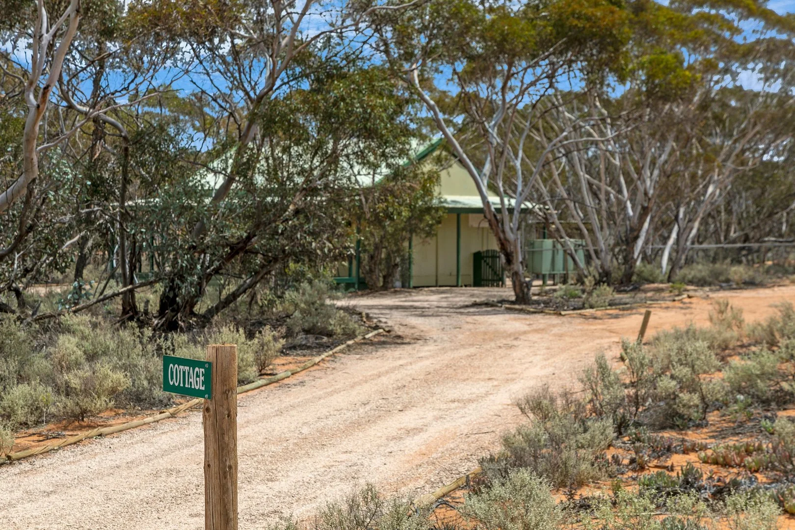 Image 11
