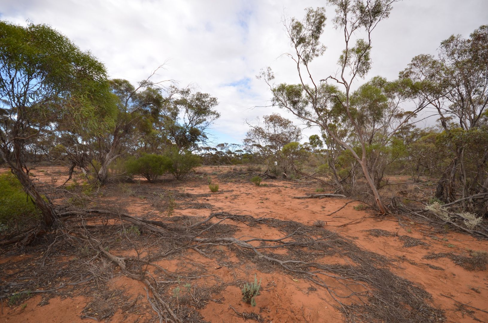 CA 17 Robinvale-Sea Lake Road, Annuello VIC 3549, Image 2