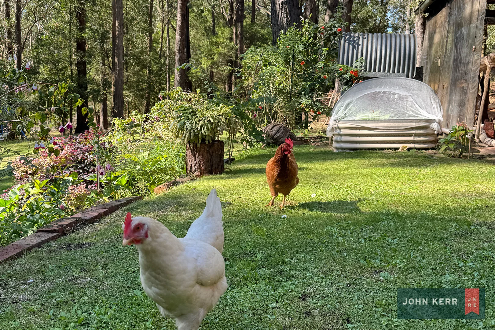 Additional image 14 of 55 Blackwood Rise, Moe South VIC 3825