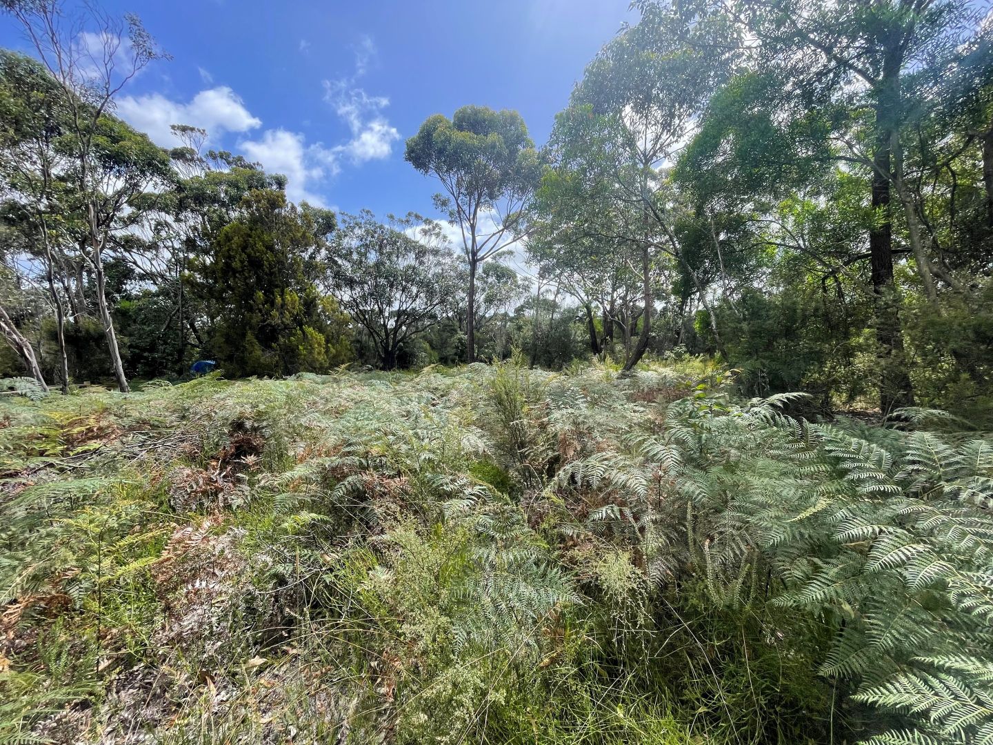 5 Heathlands Drive, Port Welshpool VIC 3965 Domain