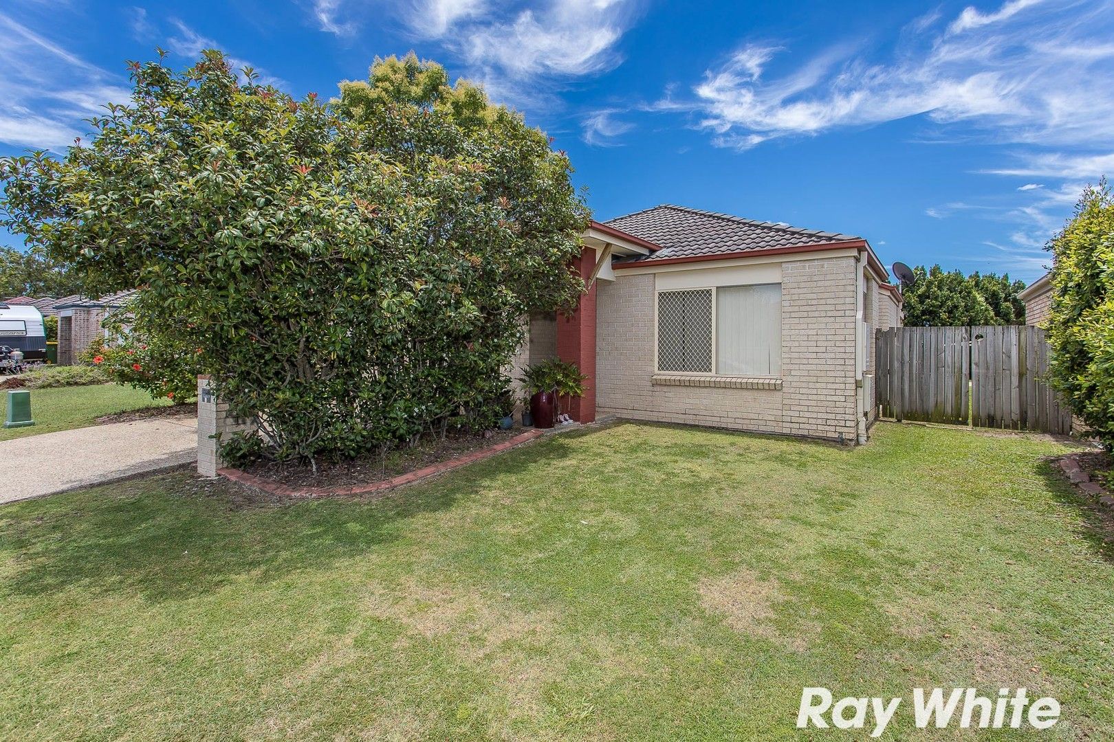 9 Dumaresq Crescent, Murrumba Downs QLD 4503 House For Rent 580 Domain