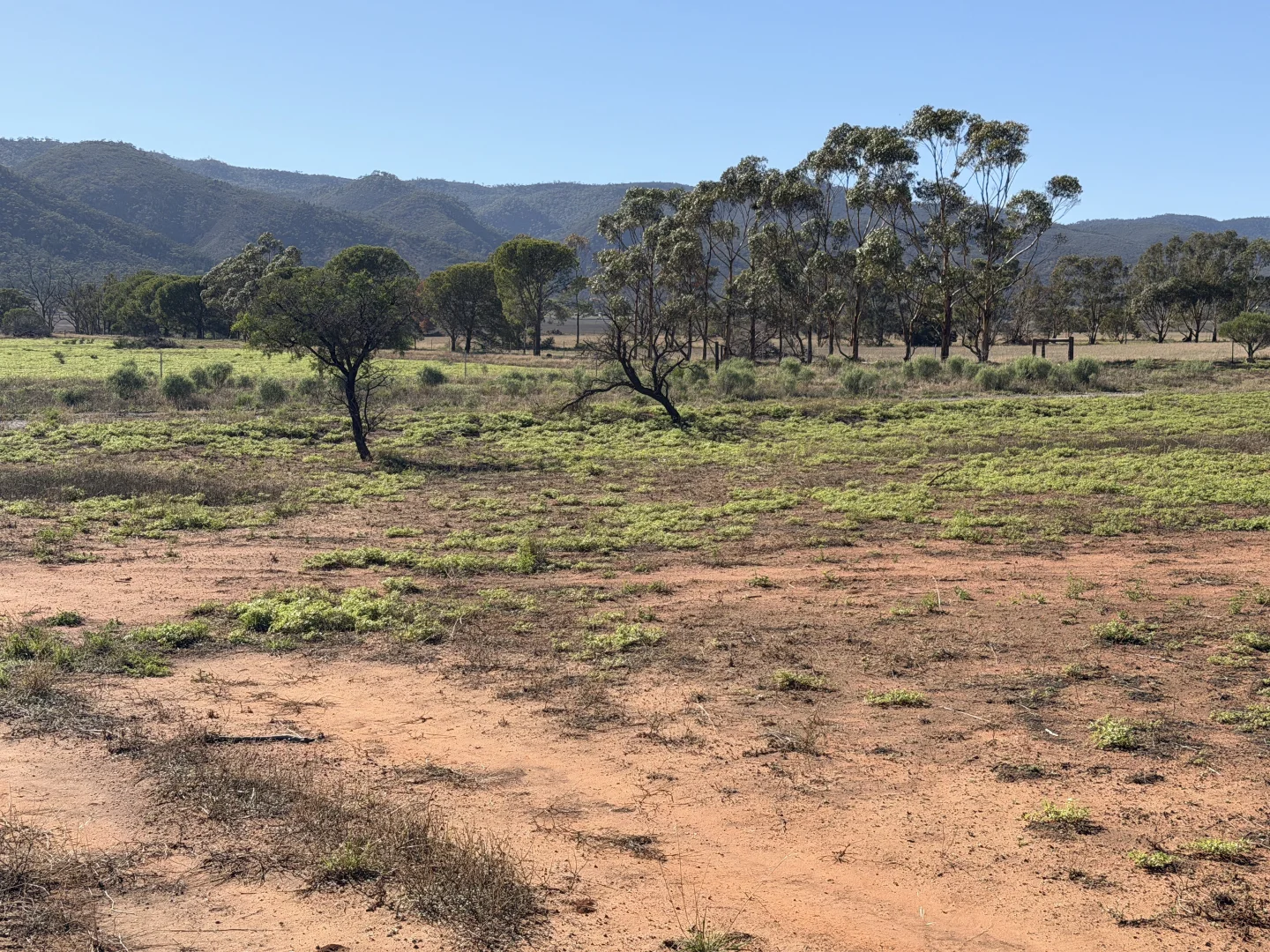 Additional image 2 of Lot 567 Telowie Road, Telowie SA 5540