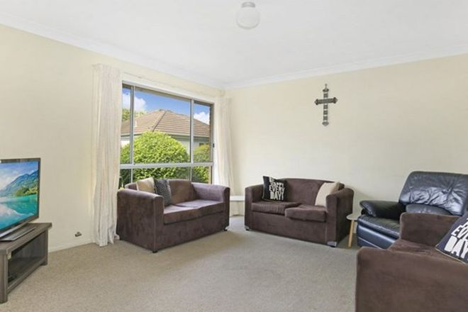 231 Rental Properties In Wollongong Nsw 2500 Domain
