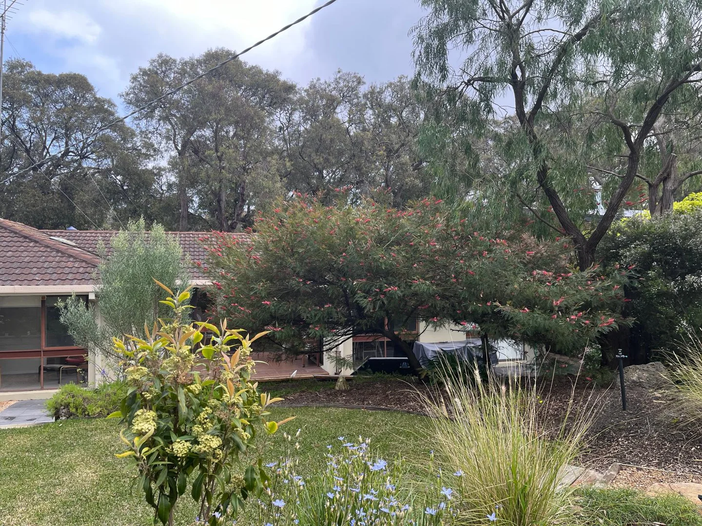 Image 20