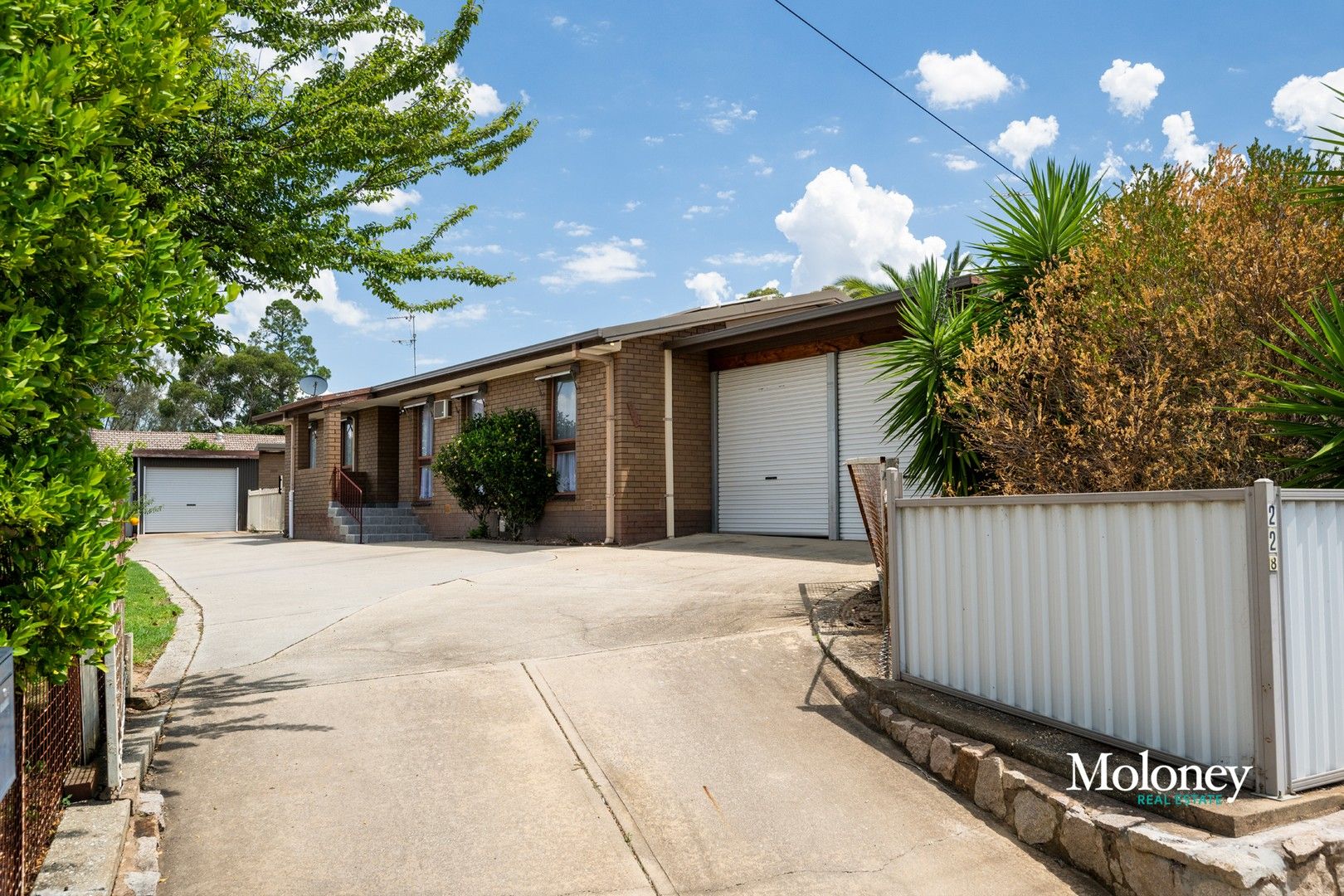 228 Main Street, Rutherglen VIC 3685 Domain