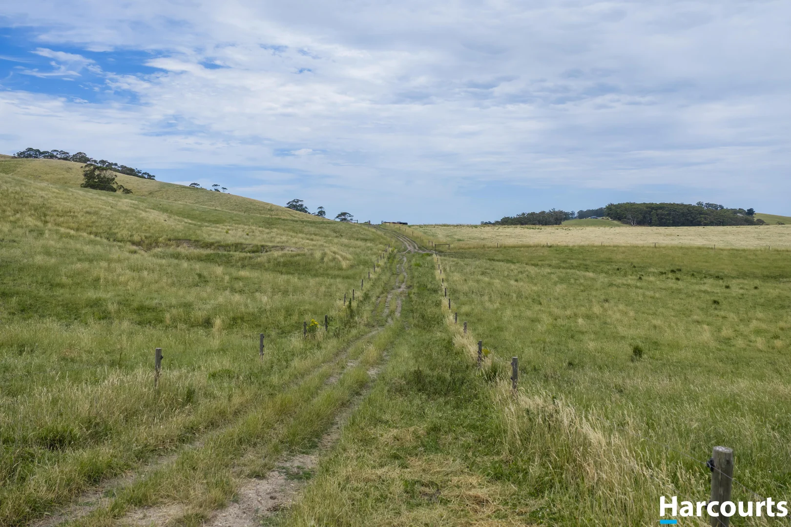 Image 14