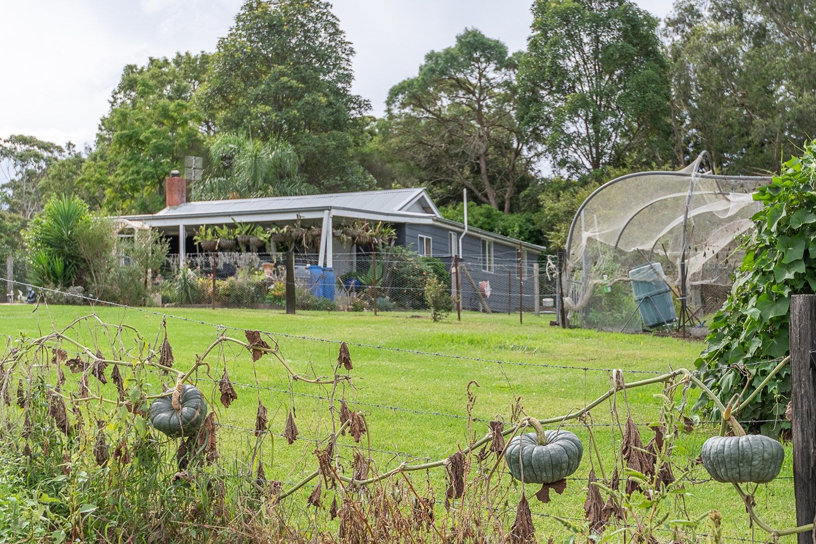 3 bedrooms House in 36 Eurobodalla Road BODALLA NSW, 2545