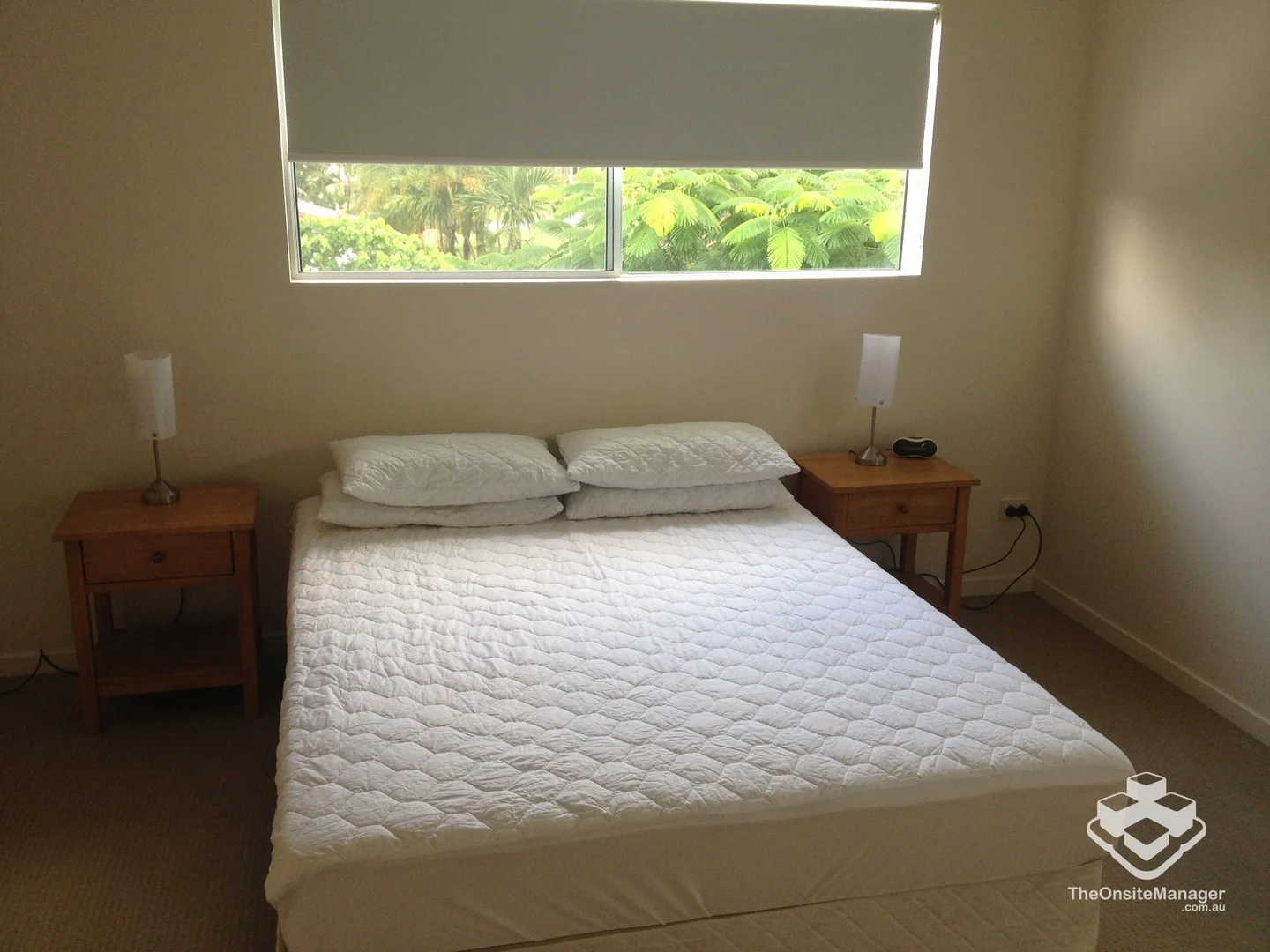 Cannonvale QLD 4802 photo 4