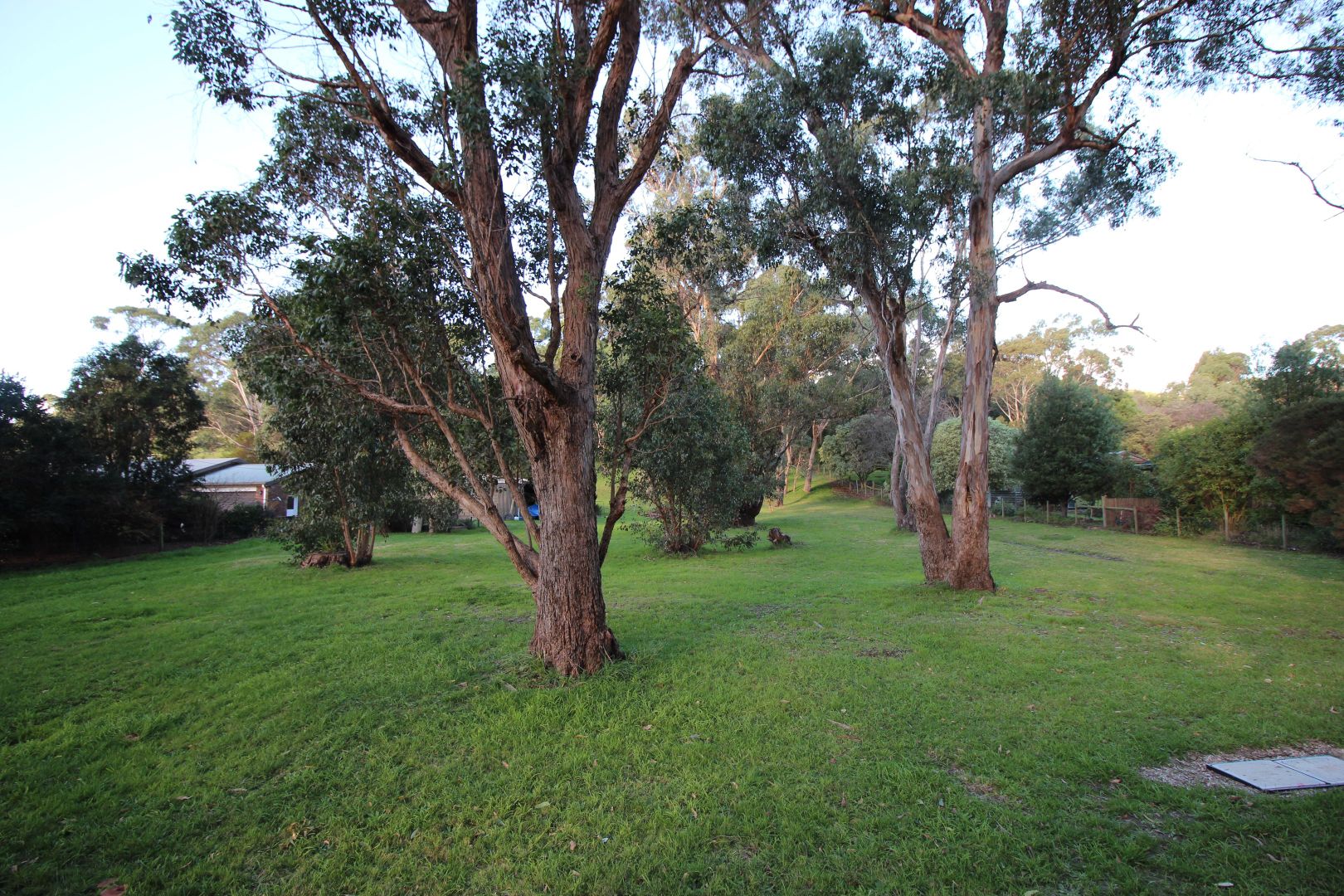 Lot 2 Leith Road, Leith TAS 7315, Image 2