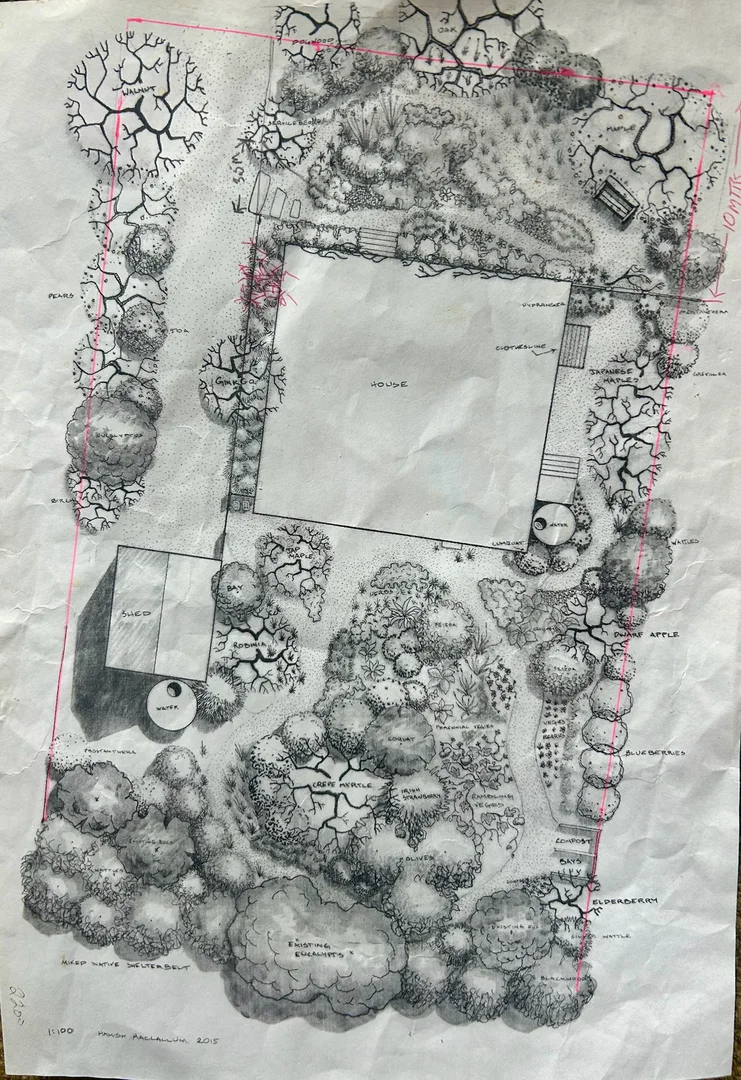 Image 12