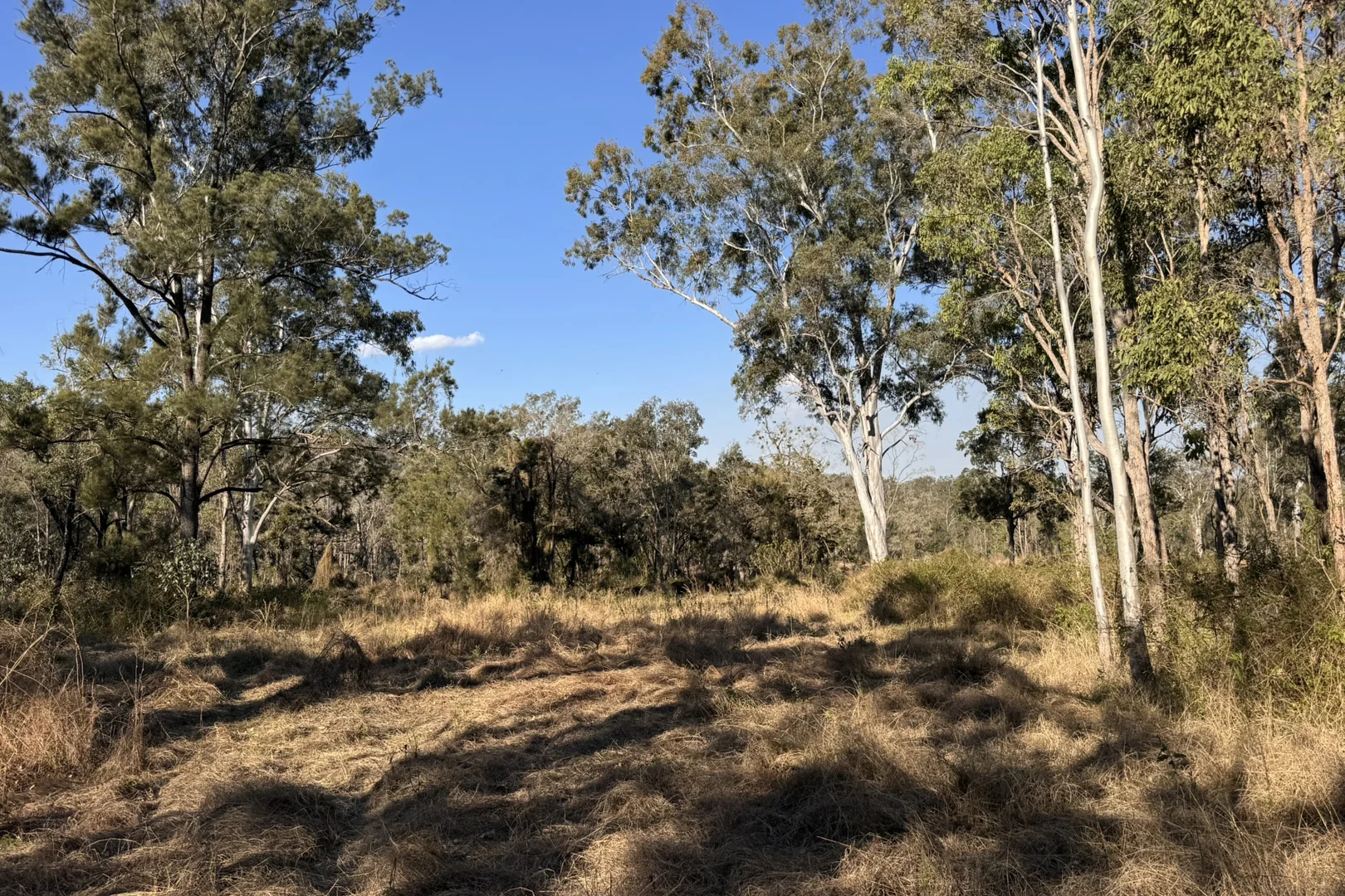 Image 13
