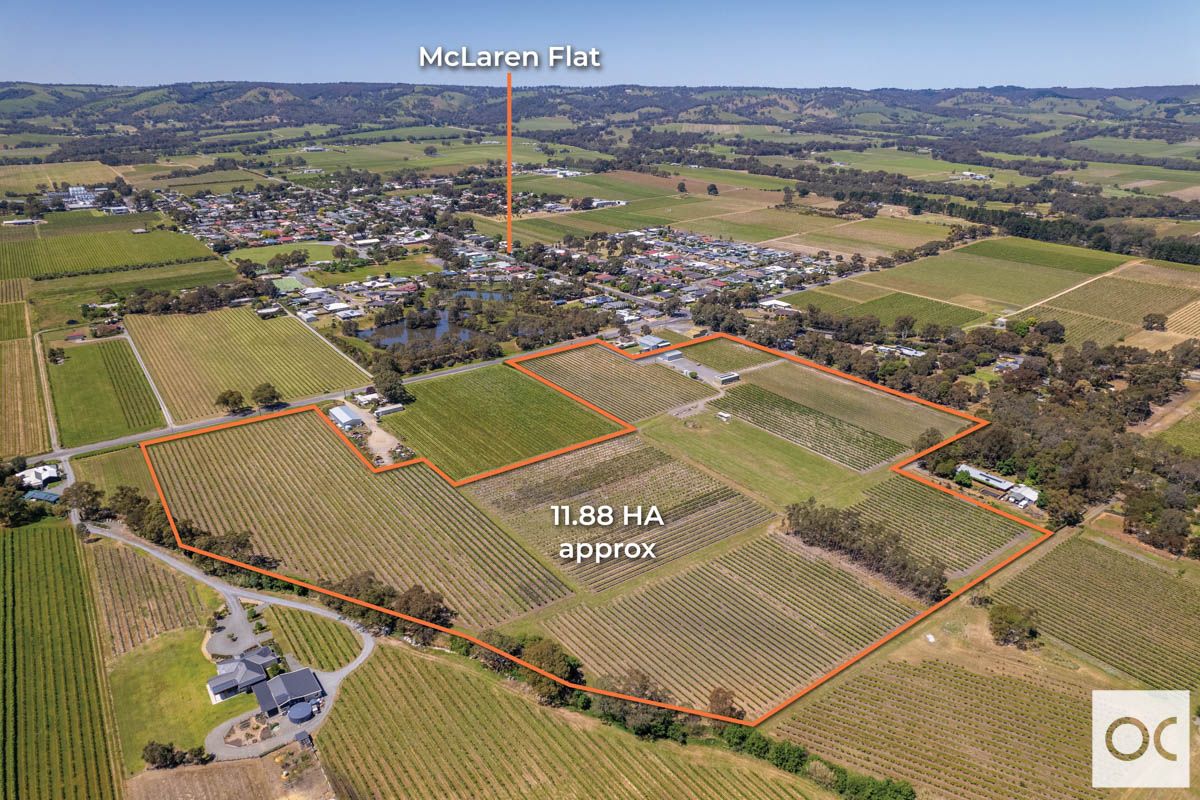 Lot 44 Chalk Hill Road, McLaren Flat SA 5171, Image 1