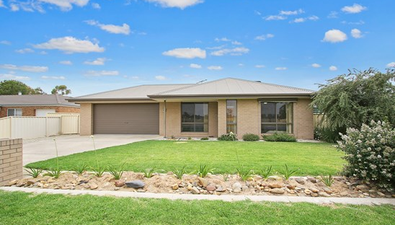 Picture of 74 Jude Street, HOWLONG NSW 2643
