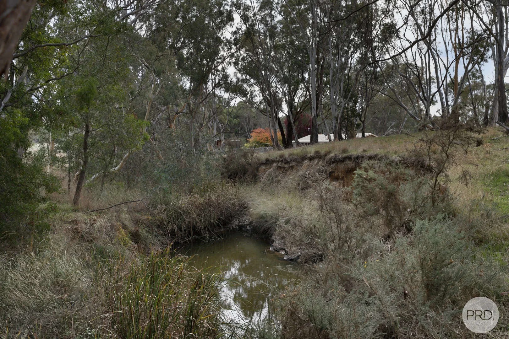 Image 20