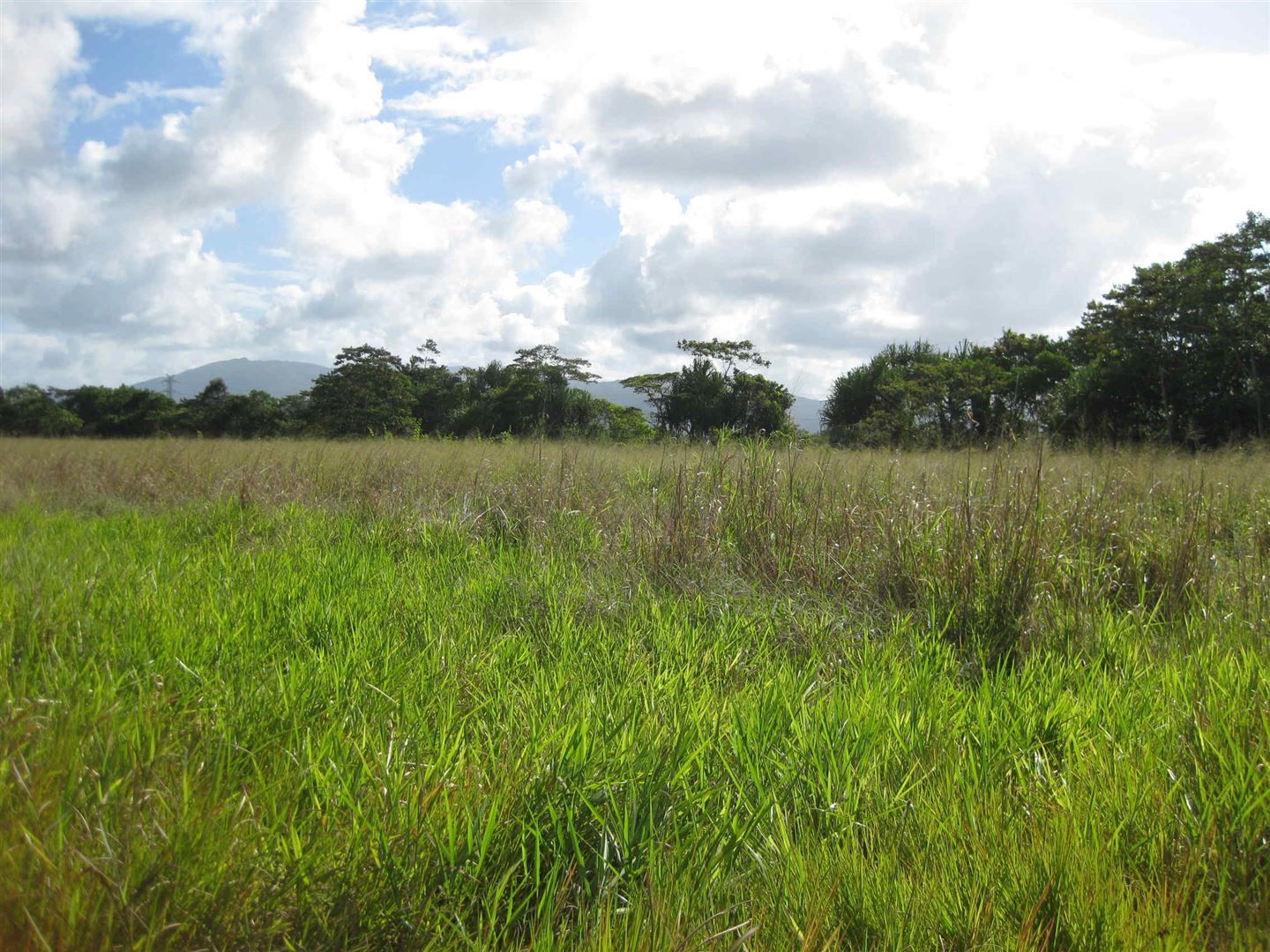 Lot 5 East Feluga Road, East Feluga QLD 4854