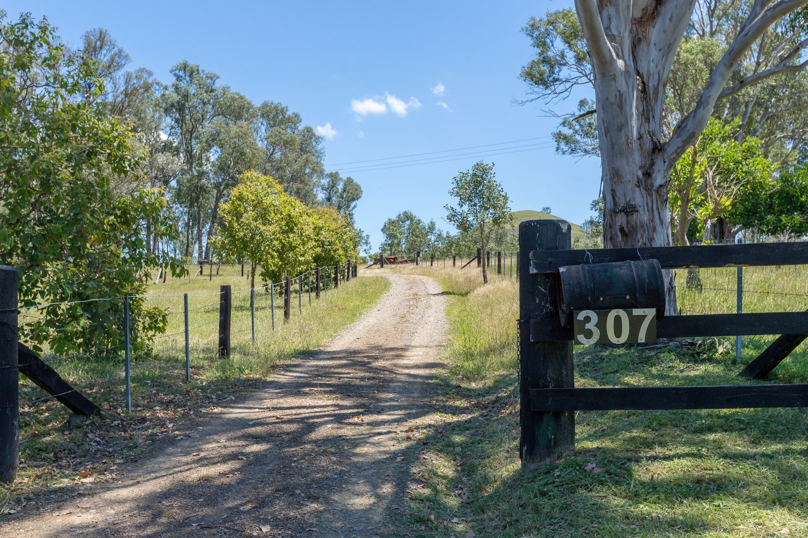 307 Sugarloaf Road, Sugarloaf Via, Dungog NSW 2420, Image 2