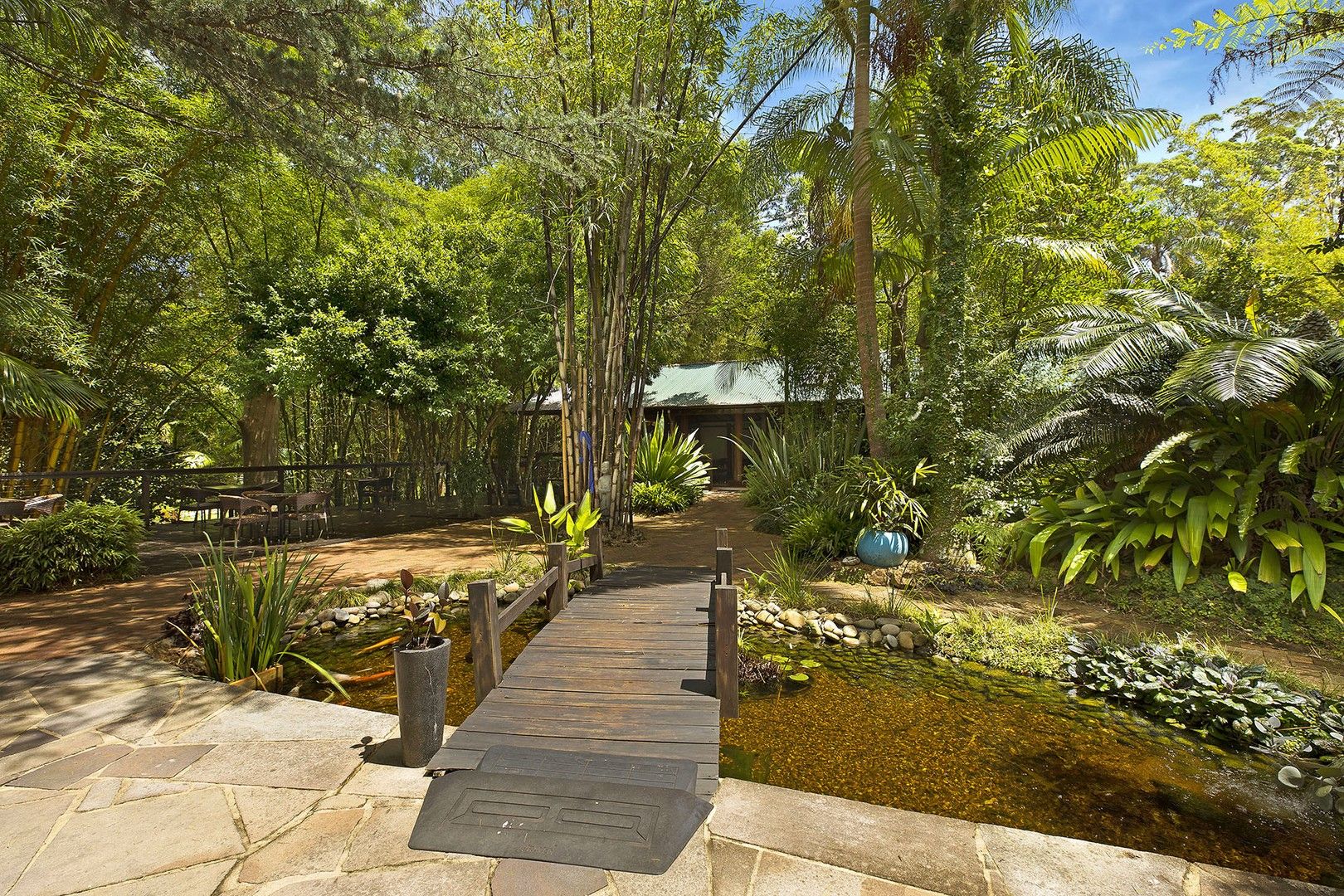 221 Wattle Tree Road, Holgate NSW 2250, Image 0