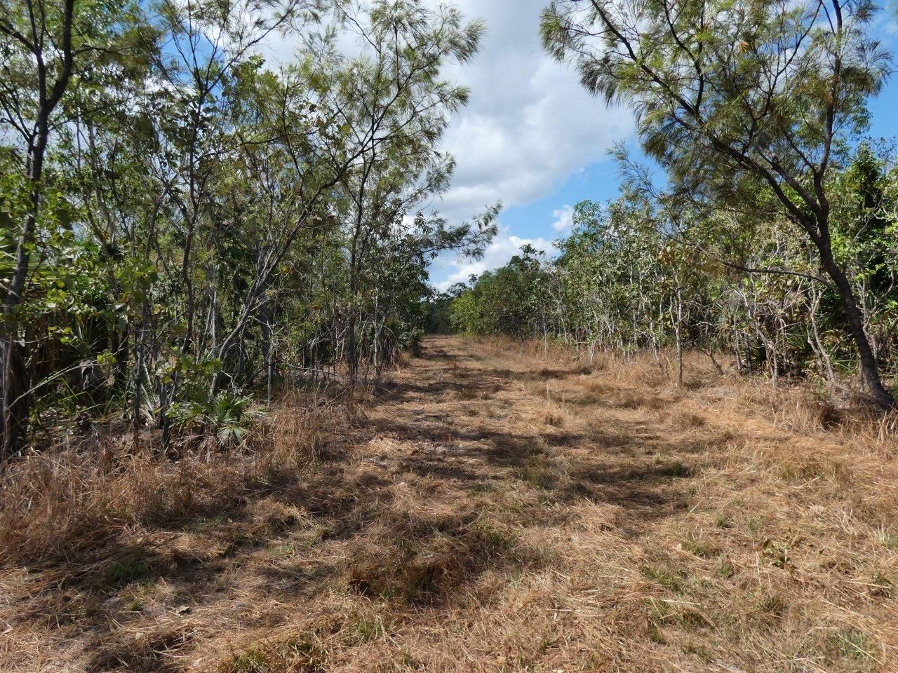 55 Maritana Avenue, Dundee Beach NT 0840 Vacant Land for Sale