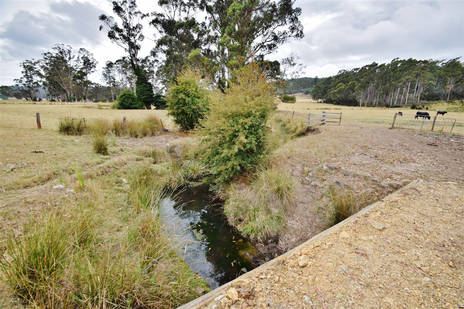 428 Priestleys Lane, Birralee TAS 7303, Image 2