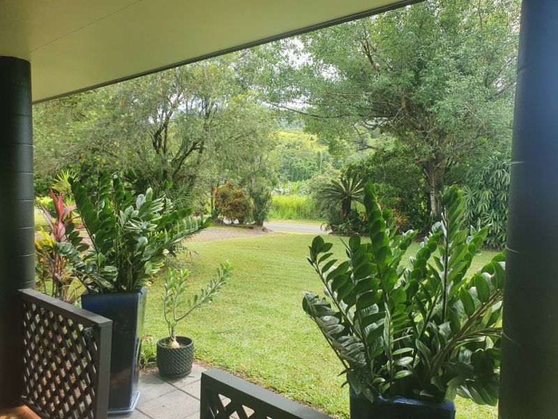 361 Dinner Creek Road, Eubenangee QLD 4860, Image 2