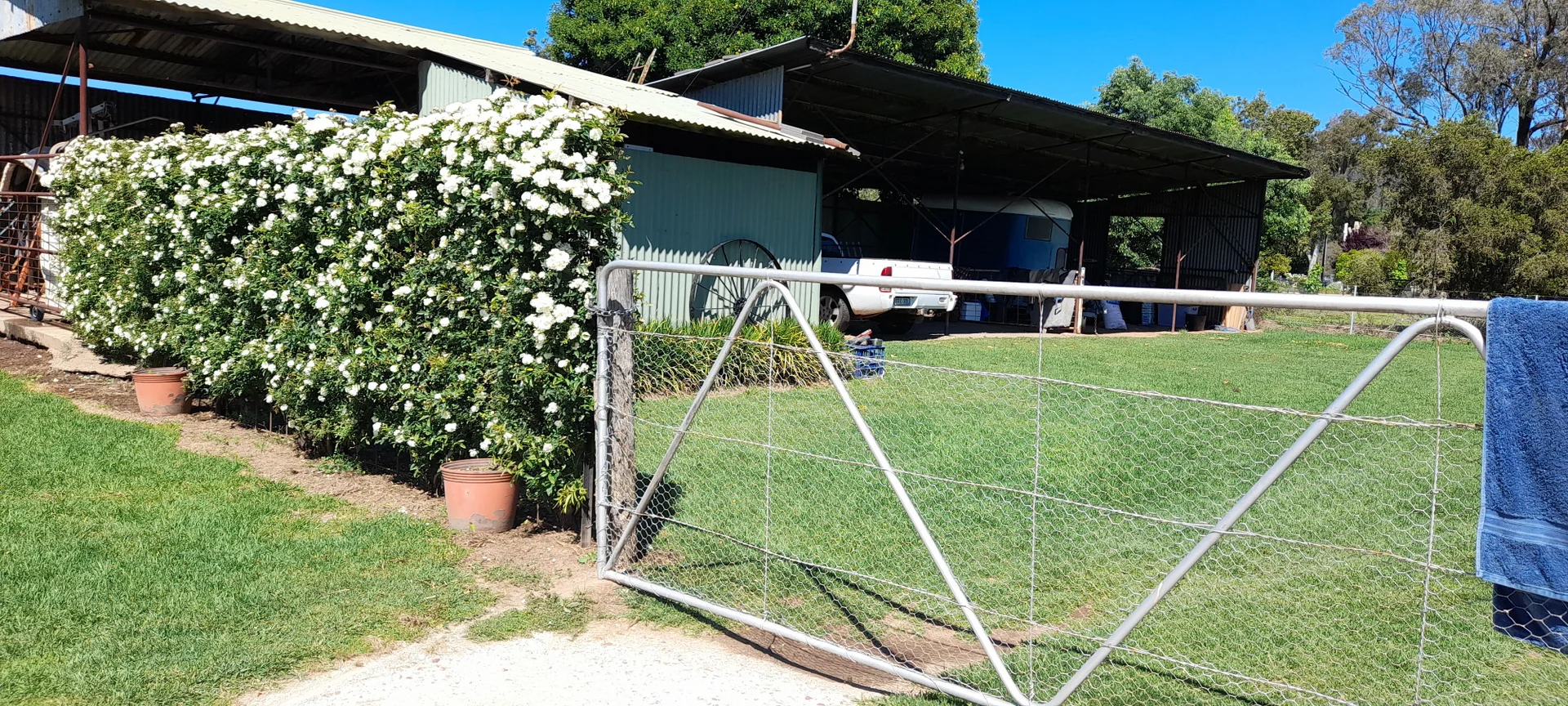 Image 8