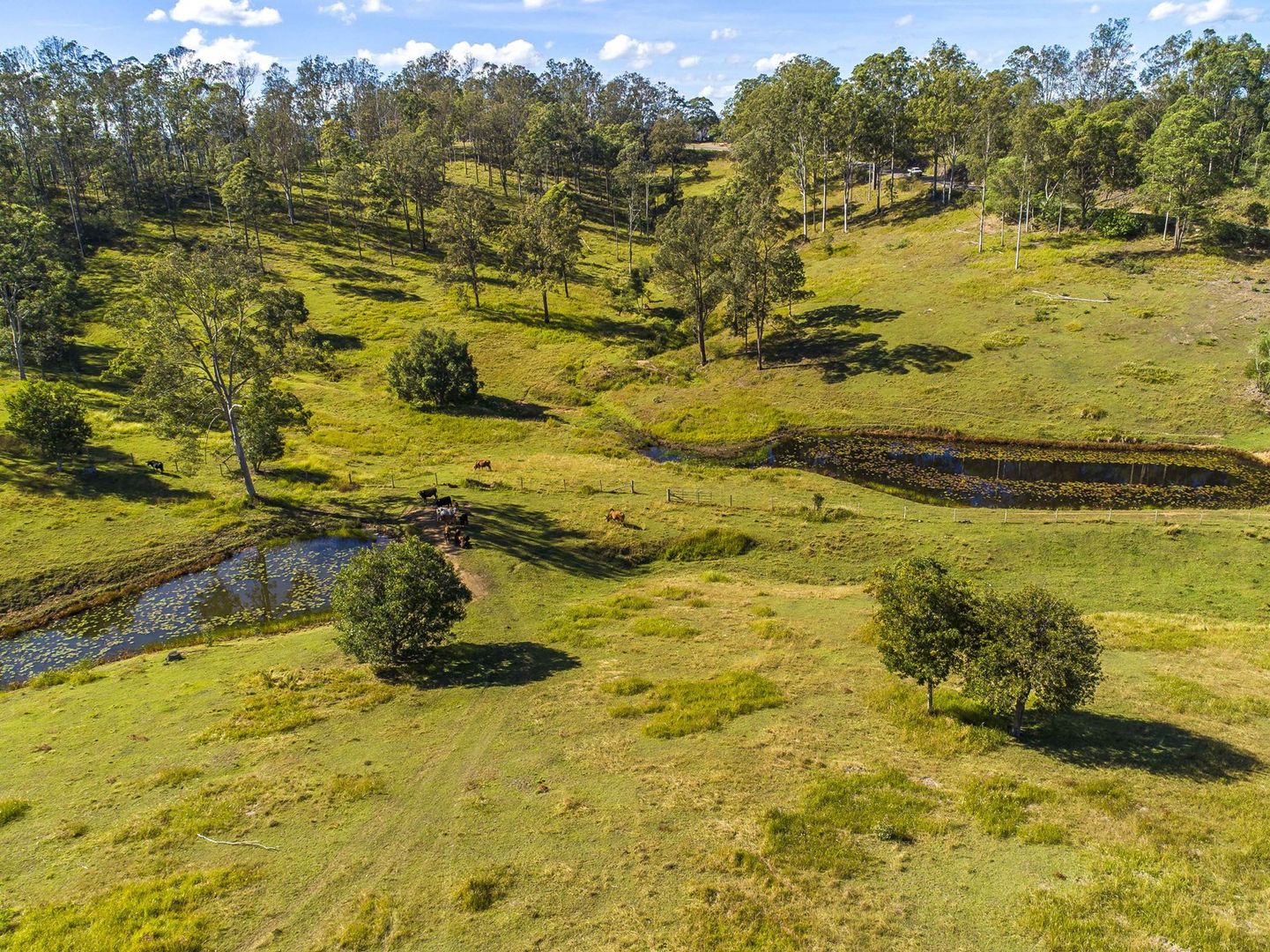 768 North Deep Creek Road, North Deep Creek QLD 4570, Image 2