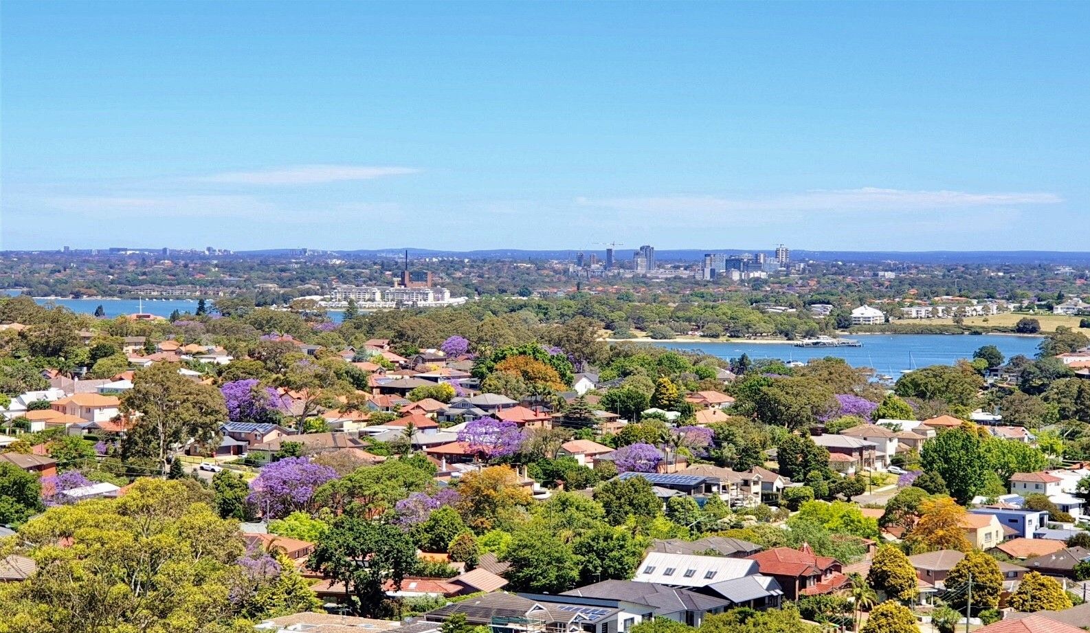 Gladesville NSW 2111 1 bed apartment for Sale 2016102350 Domain