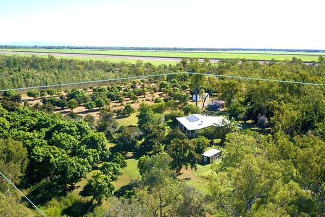 Picture of 138 Ollimott Road, MUTARNEE QLD 4816