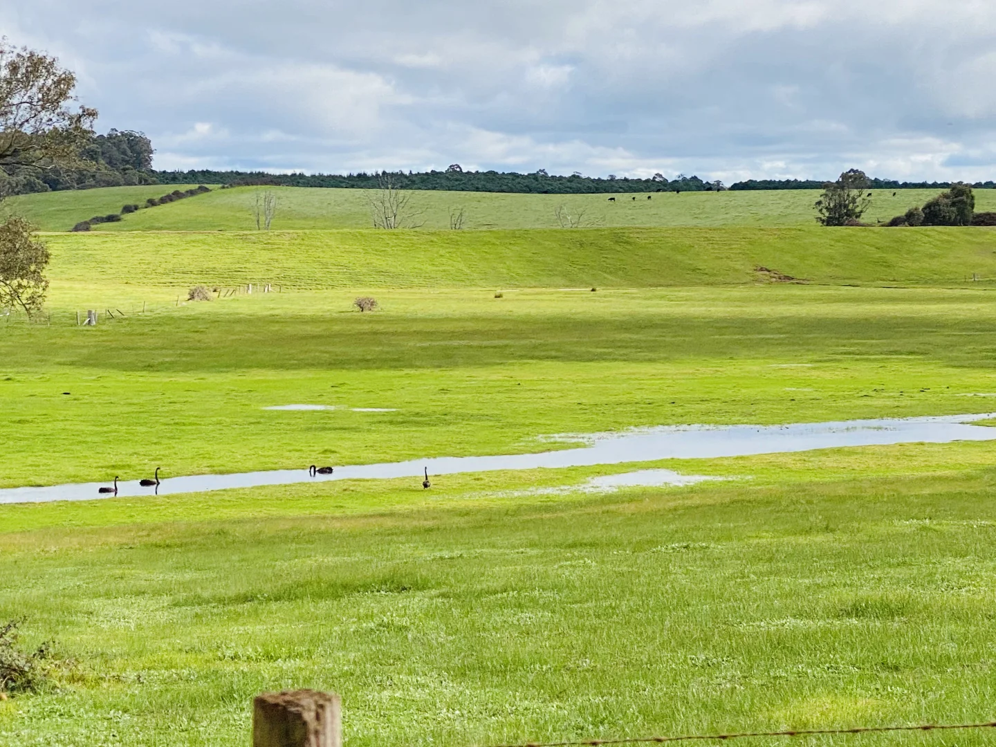 Additional image 7 of Lot 12063 Ringbark Road, Manjimup WA 6258