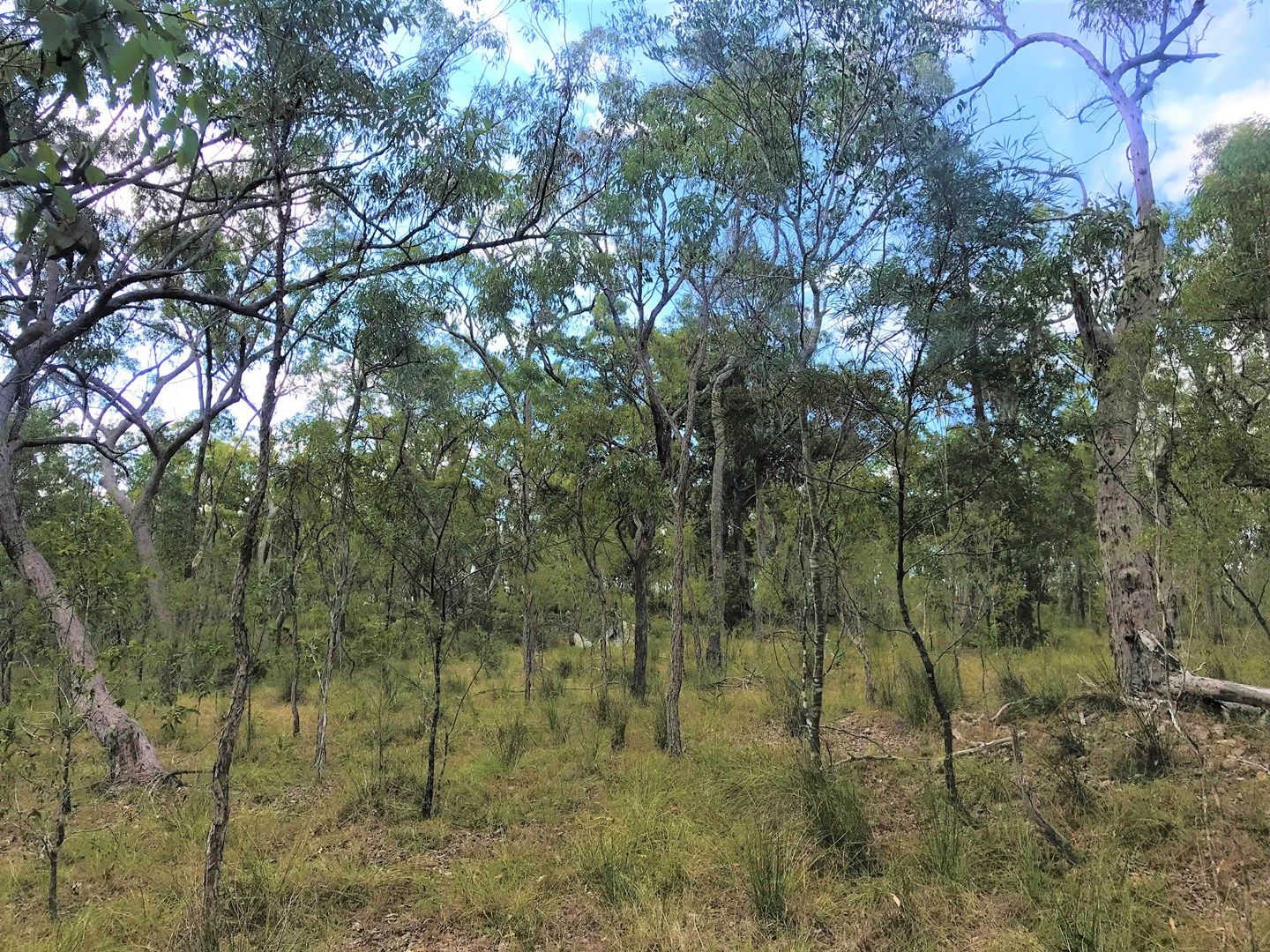 Baldaw Rd, Captain Creek QLD 4677, Image 0