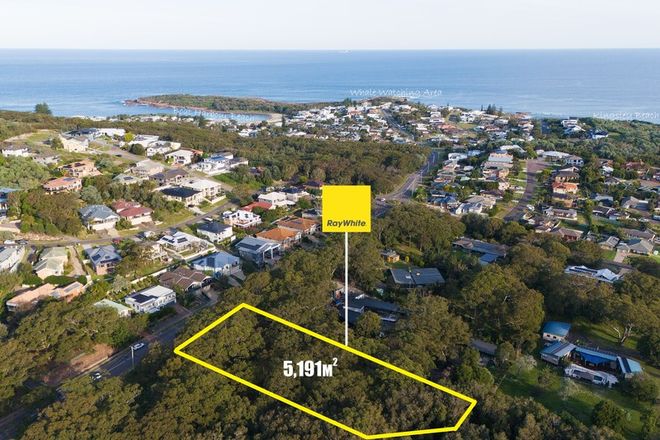 Picture of 77 Blanch Street, BOAT HARBOUR NSW 2316