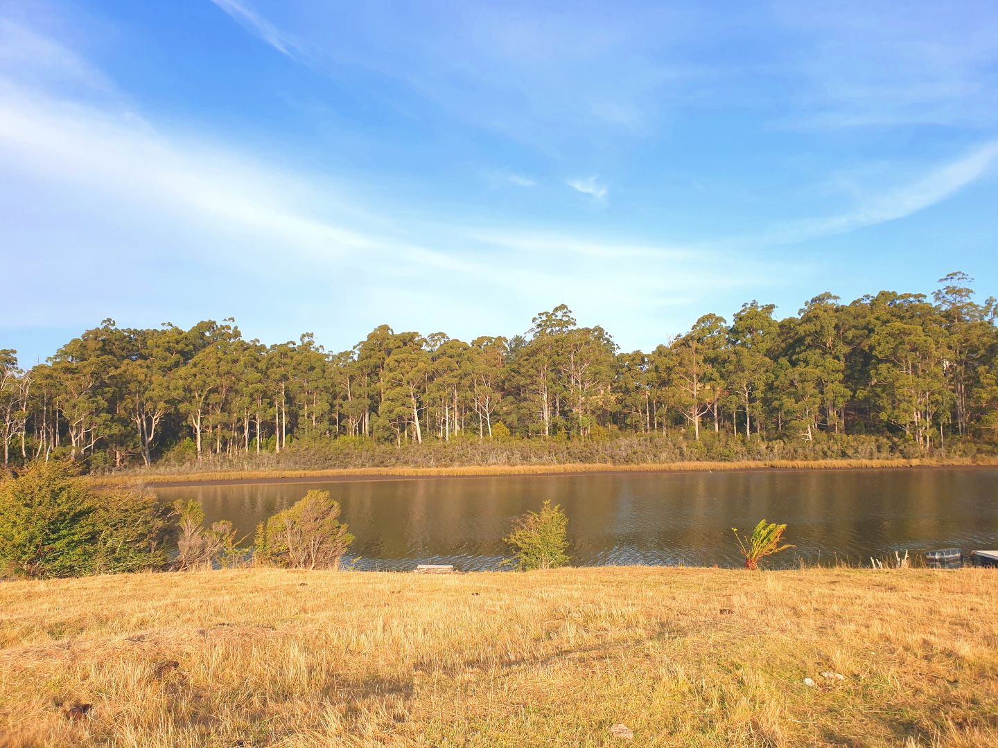 Lot 2, Narrows Road, Strathblane TAS 7109 Vacant Land for Sale