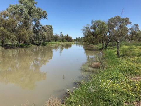 Teralba, Moree NSW 2400, Image 1