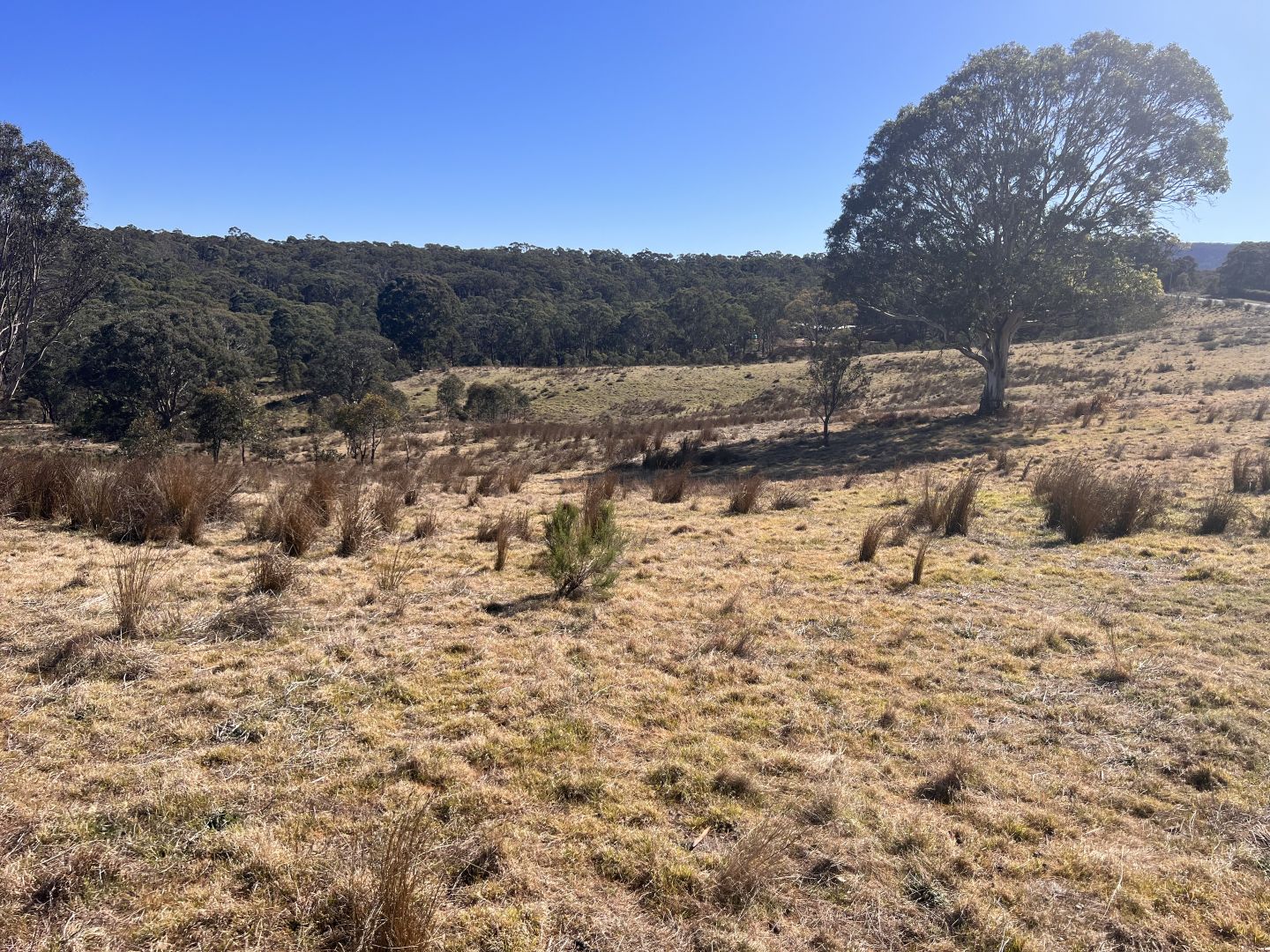 110 John Grant Road, Little Hartley NSW 2790 Vacant Land for Sale
