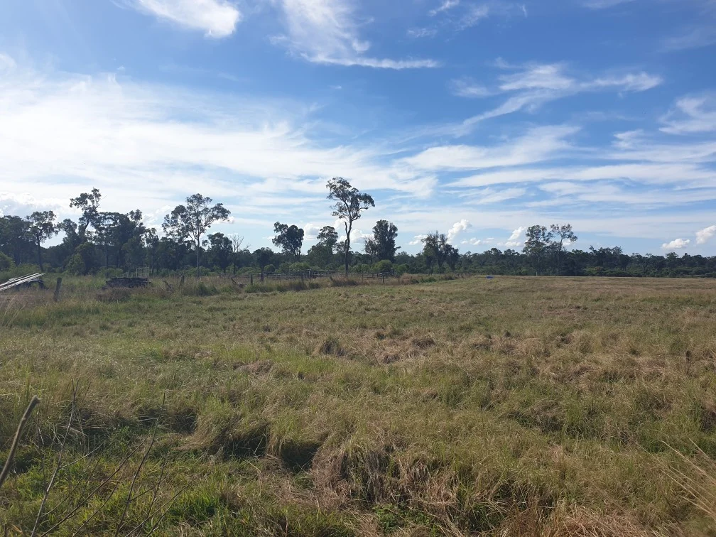 Additional image 8 of 126 Goondoon Road, Bucca QLD 4670