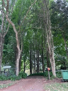 Additional image 12 of Maleny QLD 4552