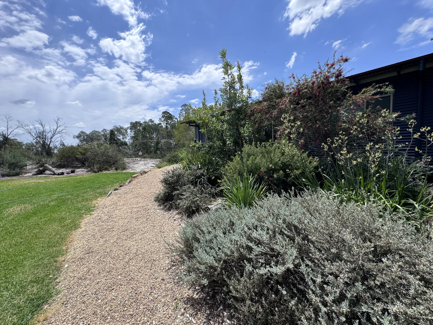 Image 35