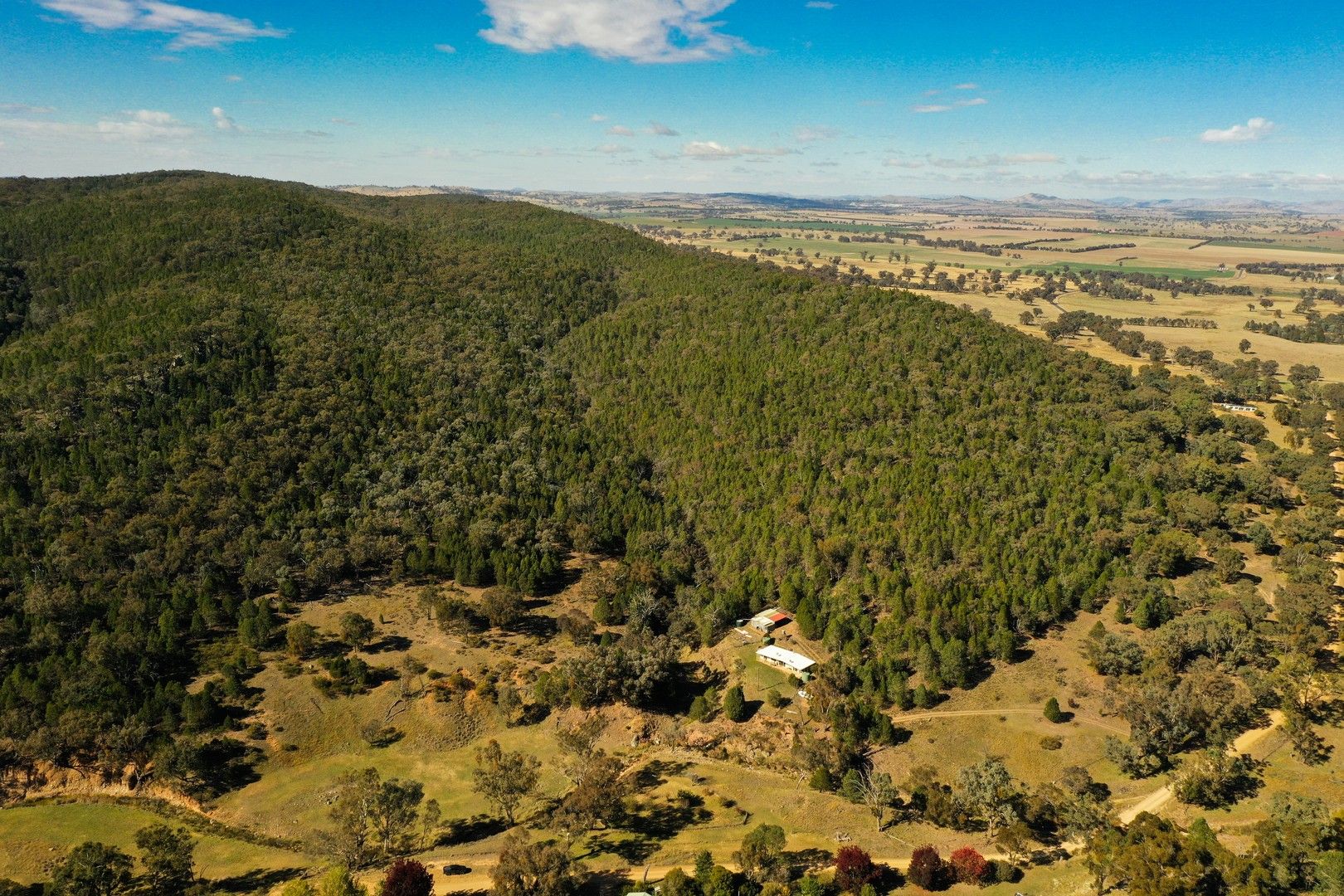 1859 Douglas Gap Road, Barwang Via, Young NSW 2594, Image 0