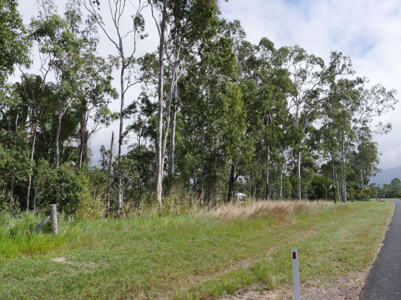 Lot 16/RP836956 Ellerbeck Road, Carruchan QLD 4816, Image 2