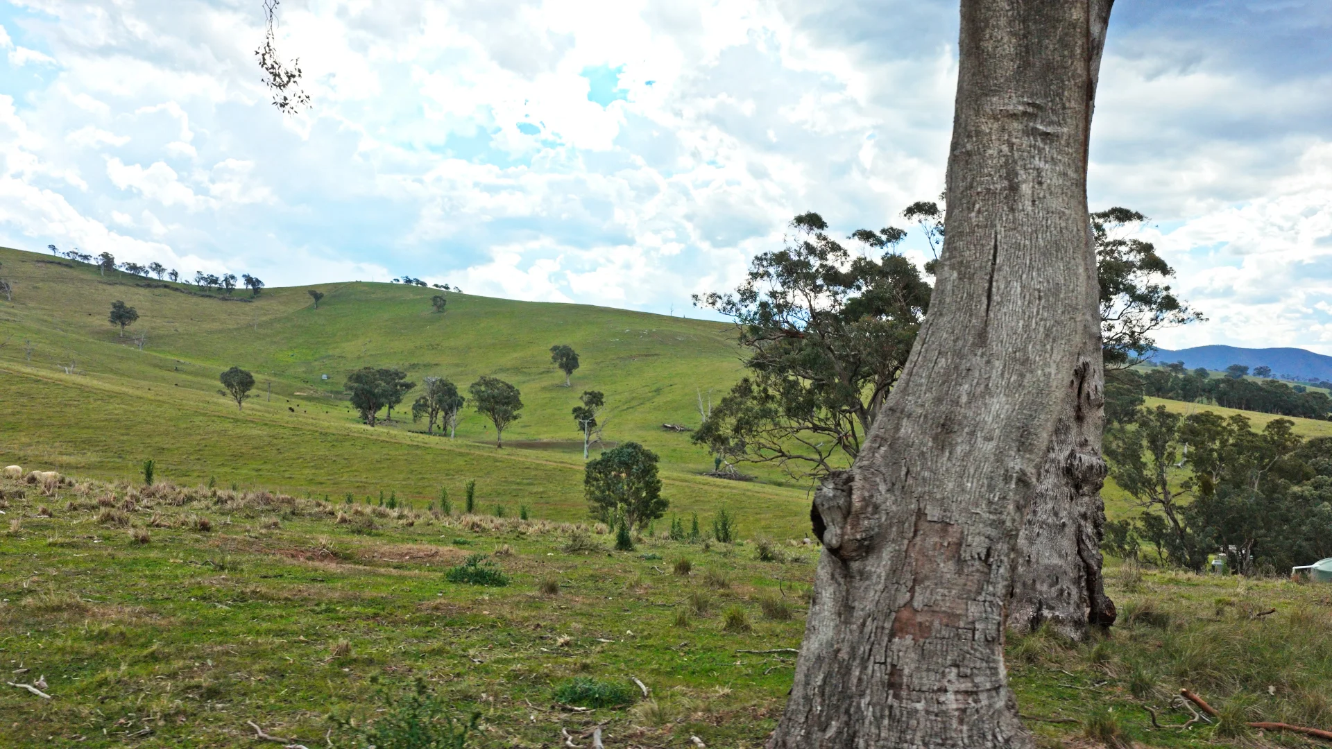 Additional image 10 of Allot 15/5185 Great Alpine Road, Ensay VIC 3895