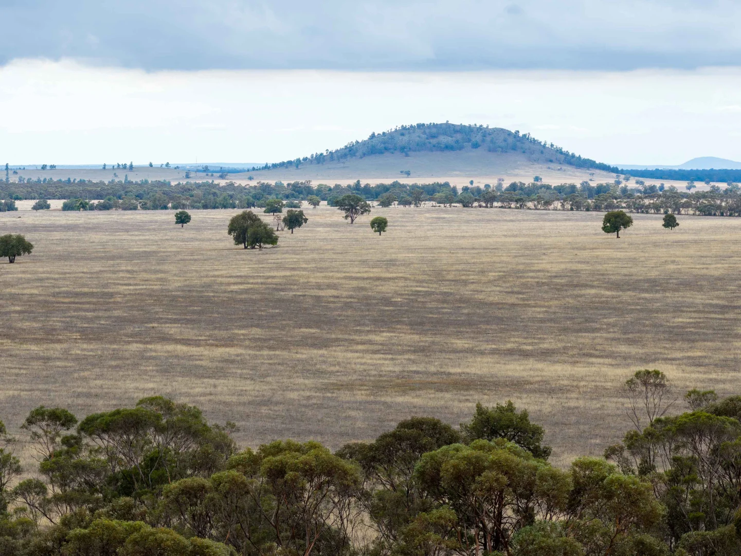 Additional image 13 of 83 Cornells Road, Condobolin NSW 2877