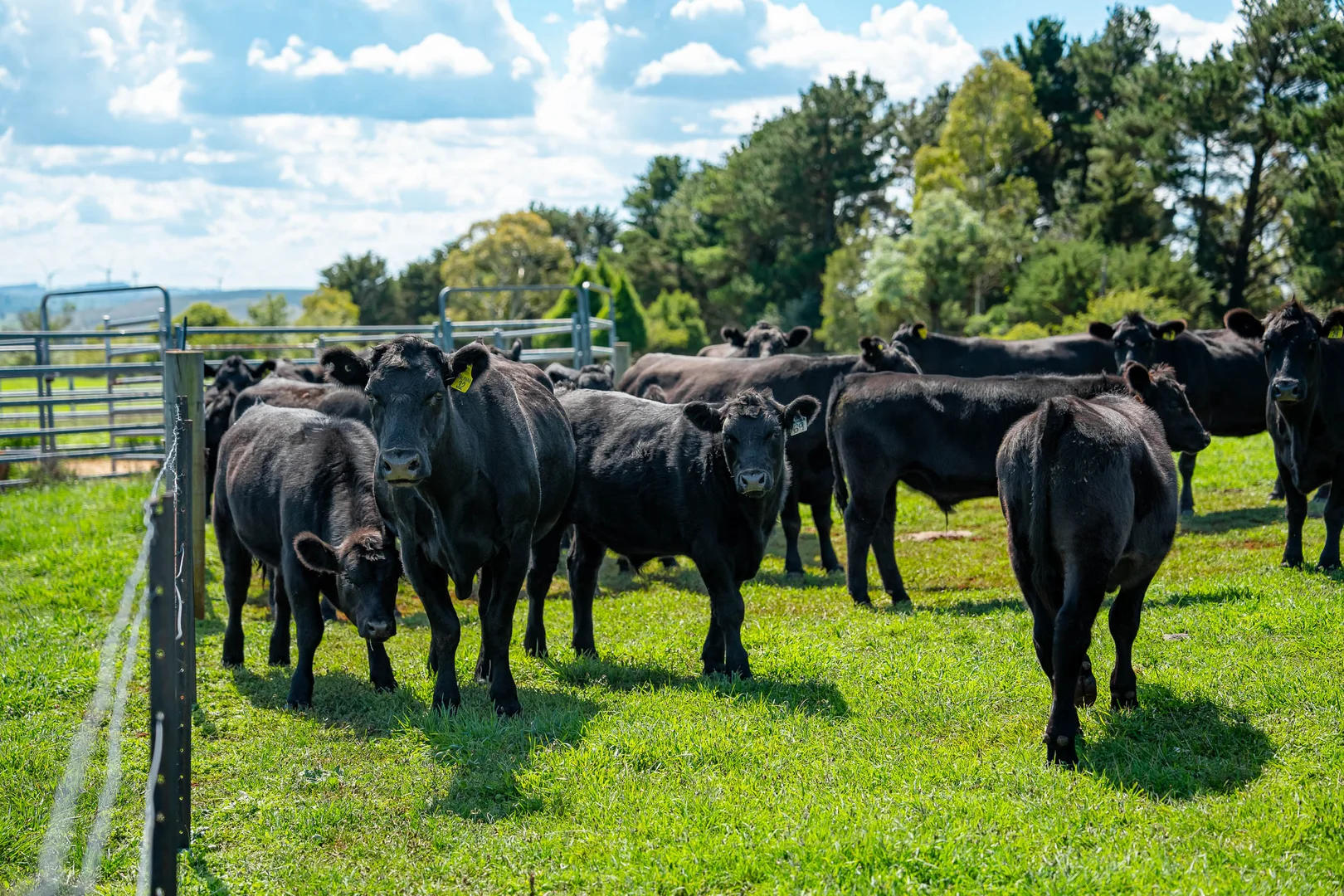 Additional image 10 of 68 Woodhouselee Road, Wayo via, Goulburn NSW 2580