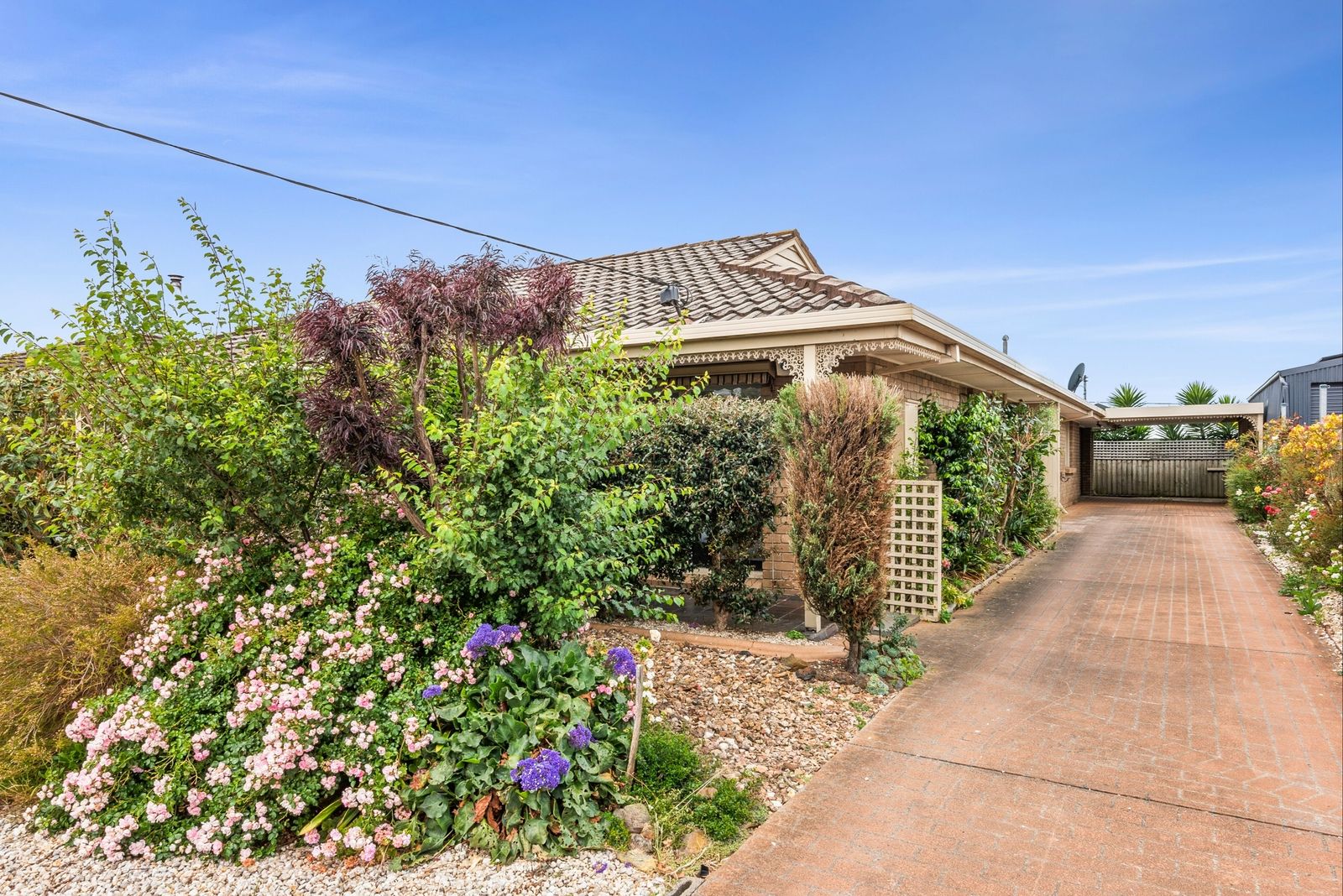 94 Tahara Street, Hamlyn Heights VIC 3215, Image 1