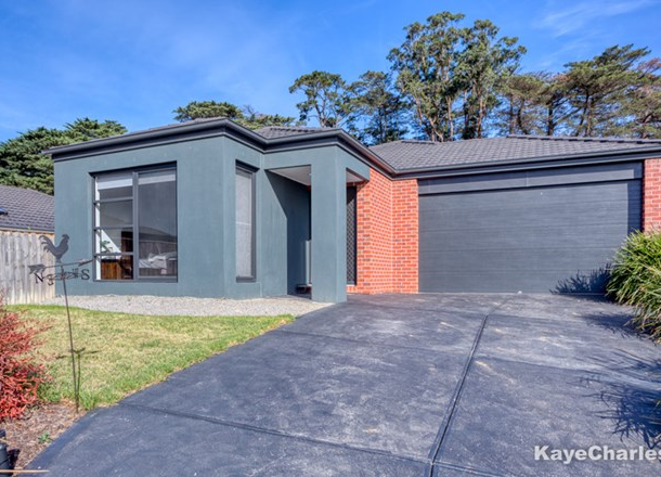 41 Nixon Drive, Berwick VIC 3806