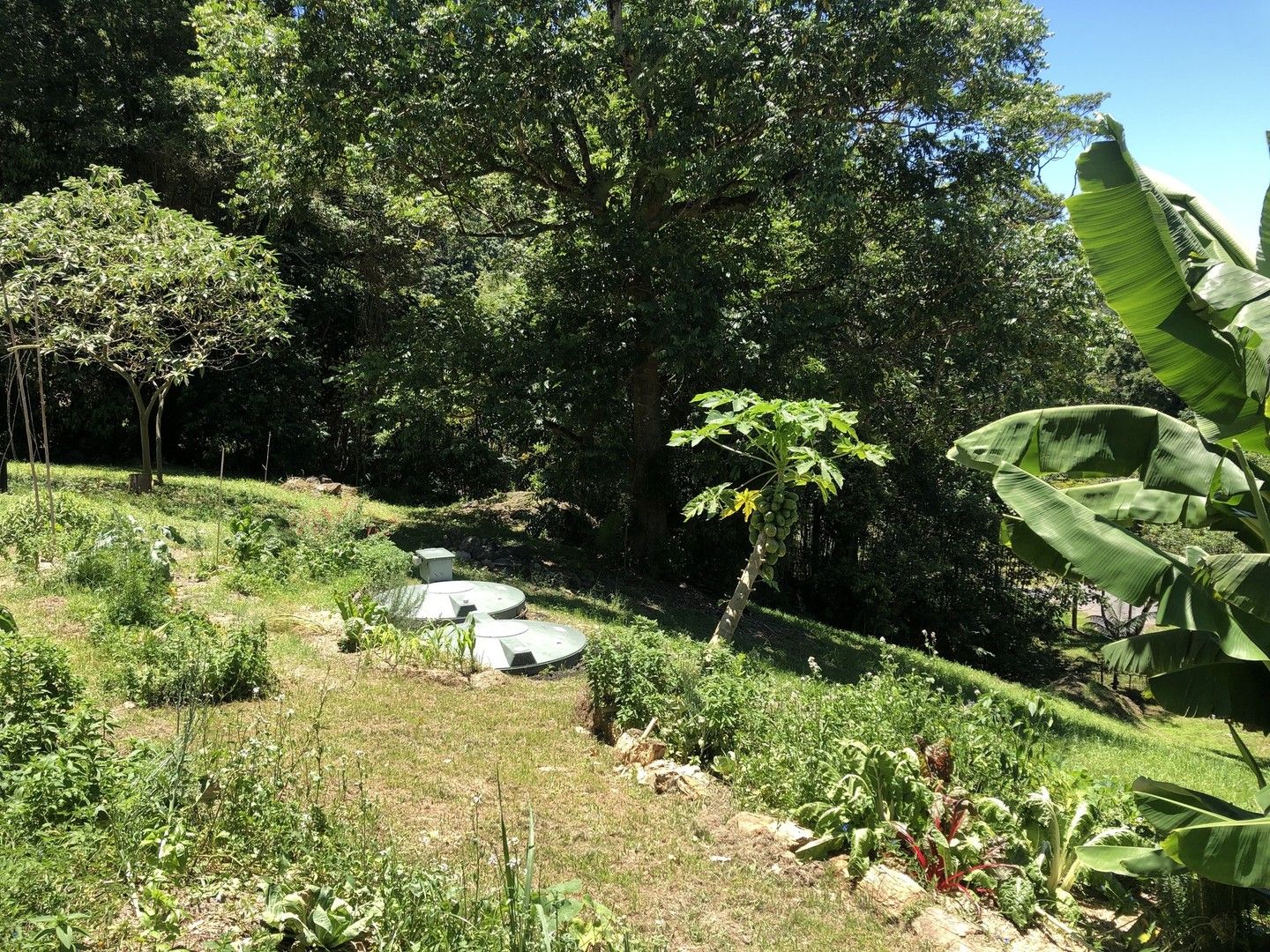 3 bedrooms House in  CURRUMBIN VALLEY QLD, 4223