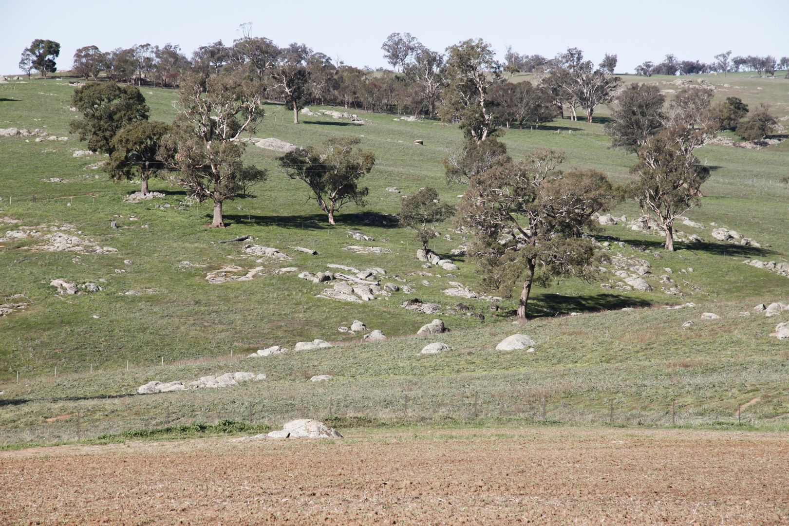 Wombat NSW 2587, Image 2