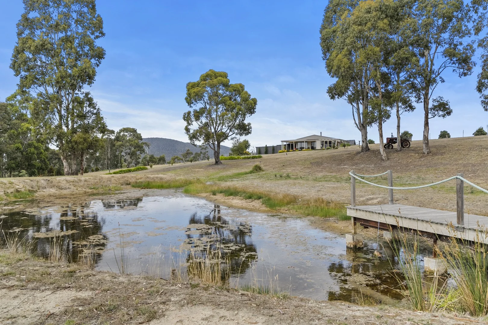 94 Blue Hills Road, Copping TAS 7174