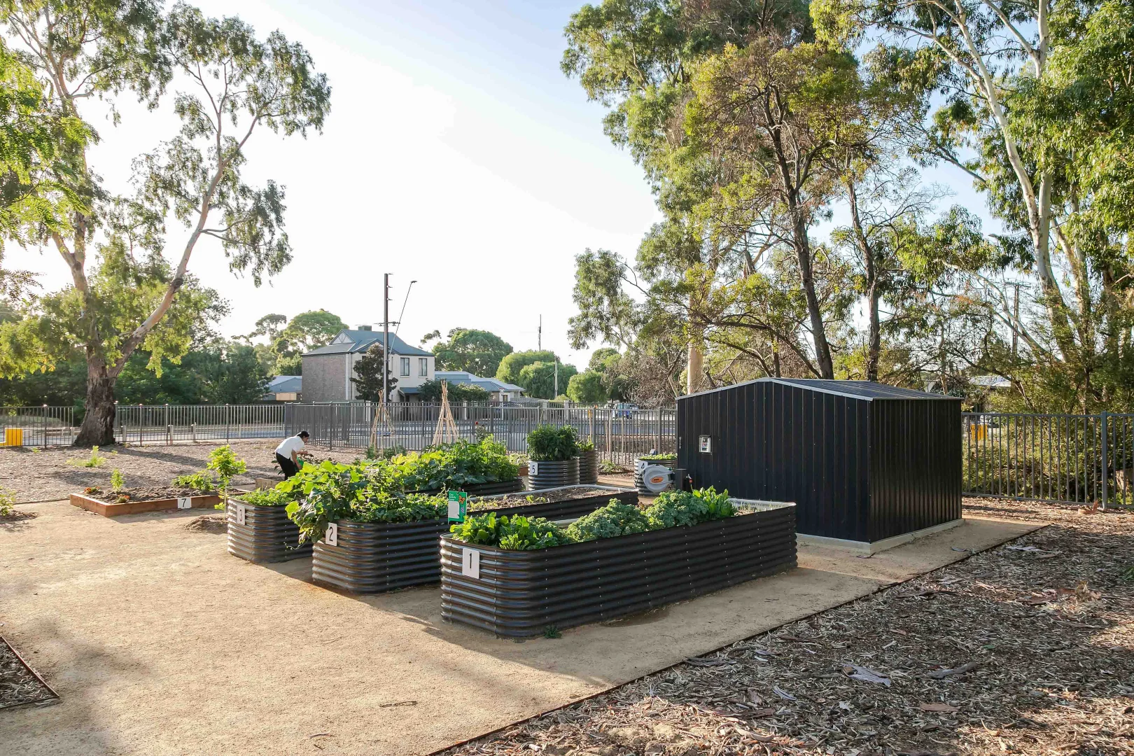 Additional image 30 of 54 Wood Street, Kurralta Park SA 5037