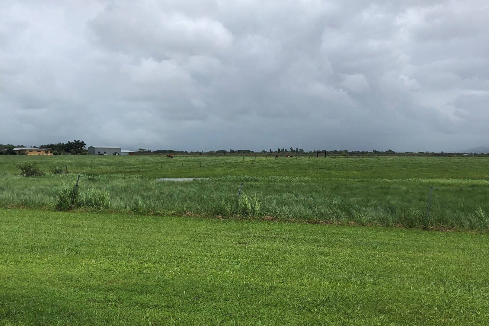 505 Mourilyan Harbour Road, Mourilyan QLD 4858 House for Sale